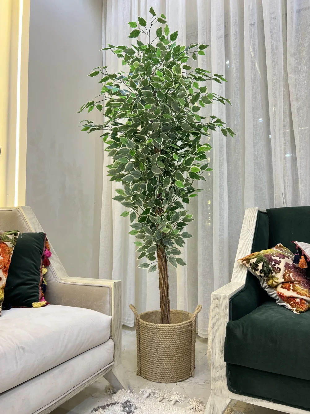 جولدن بوثوس