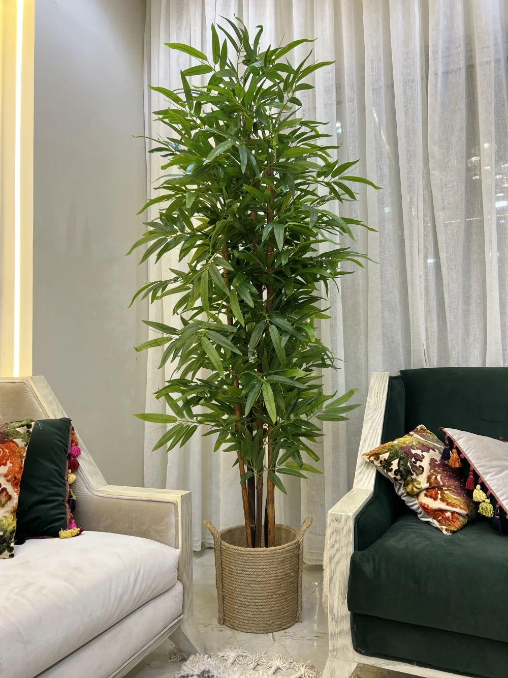 هولي اليابانية